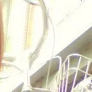 くるみ