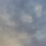 ふうはや いんく 名刺 - メルカリ