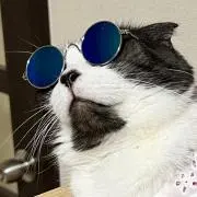 ゆきの画像