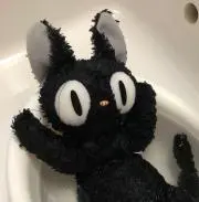 グレイの画像