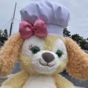 SUNRISEの画像