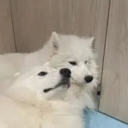 みさきの画像