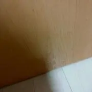 トコトコ