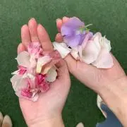 りべるの画像