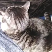 ほよほよ