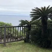 セマゴンジャミノルの画像
