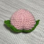 ももの画像
