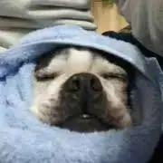 マミーの画像