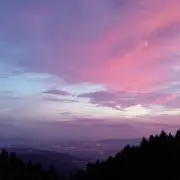 taremeの画像