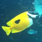 machiの画像