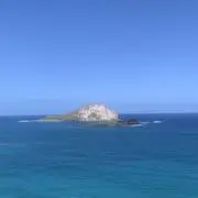 ＰＰＰの画像