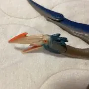 momo太郎の画像