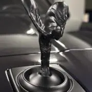 ☆フライングレディ☆の画像