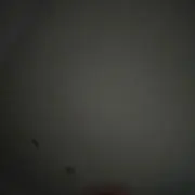 エラントラの画像