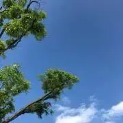 断捨離開催‼️の画像