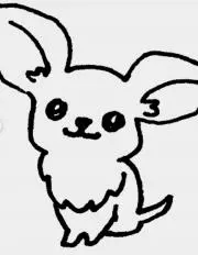チワワちゃんの画像