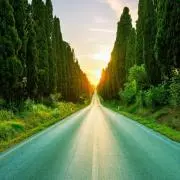 Green☆断捨離中の画像