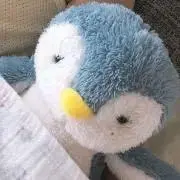 さめさん