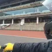 The Great Mutaの画像