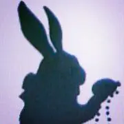 耳長クロうさぎの画像