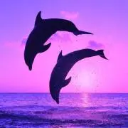 muse35の画像