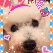 瀬名0314の画像