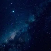 きのこ