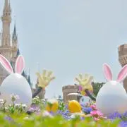 miの画像
