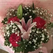 ★アロア★即購入OKです♪の画像