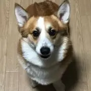 ふう ☆プロフ必読☆の画像