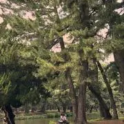 Sの画像