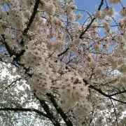good~aの画像