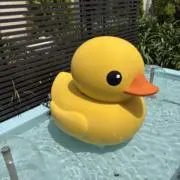 れいかの画像