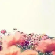 mari14の画像