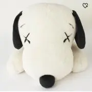 ちゃんちーの画像