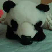 あぃまぃみぃ