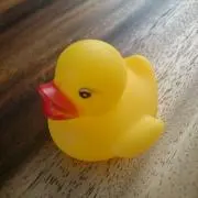 ゆりたの画像