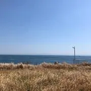 ぴ