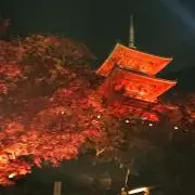 Dolphin★の画像