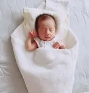 ziziの画像