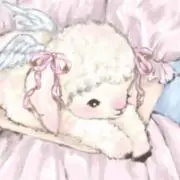 ぽぽの画像