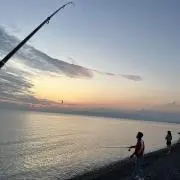 のんの画像