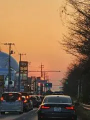 yamadragonの画像