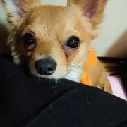 ゆん。の画像