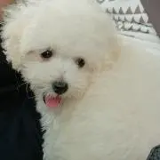 むー