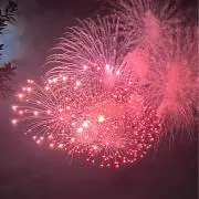 Seiの画像
