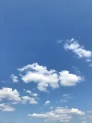 Johnnyの画像