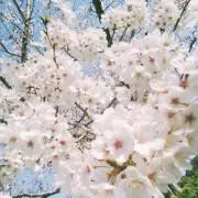まぁ