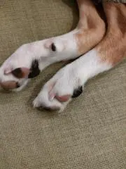 りり