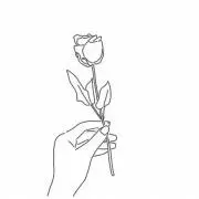 華の画像